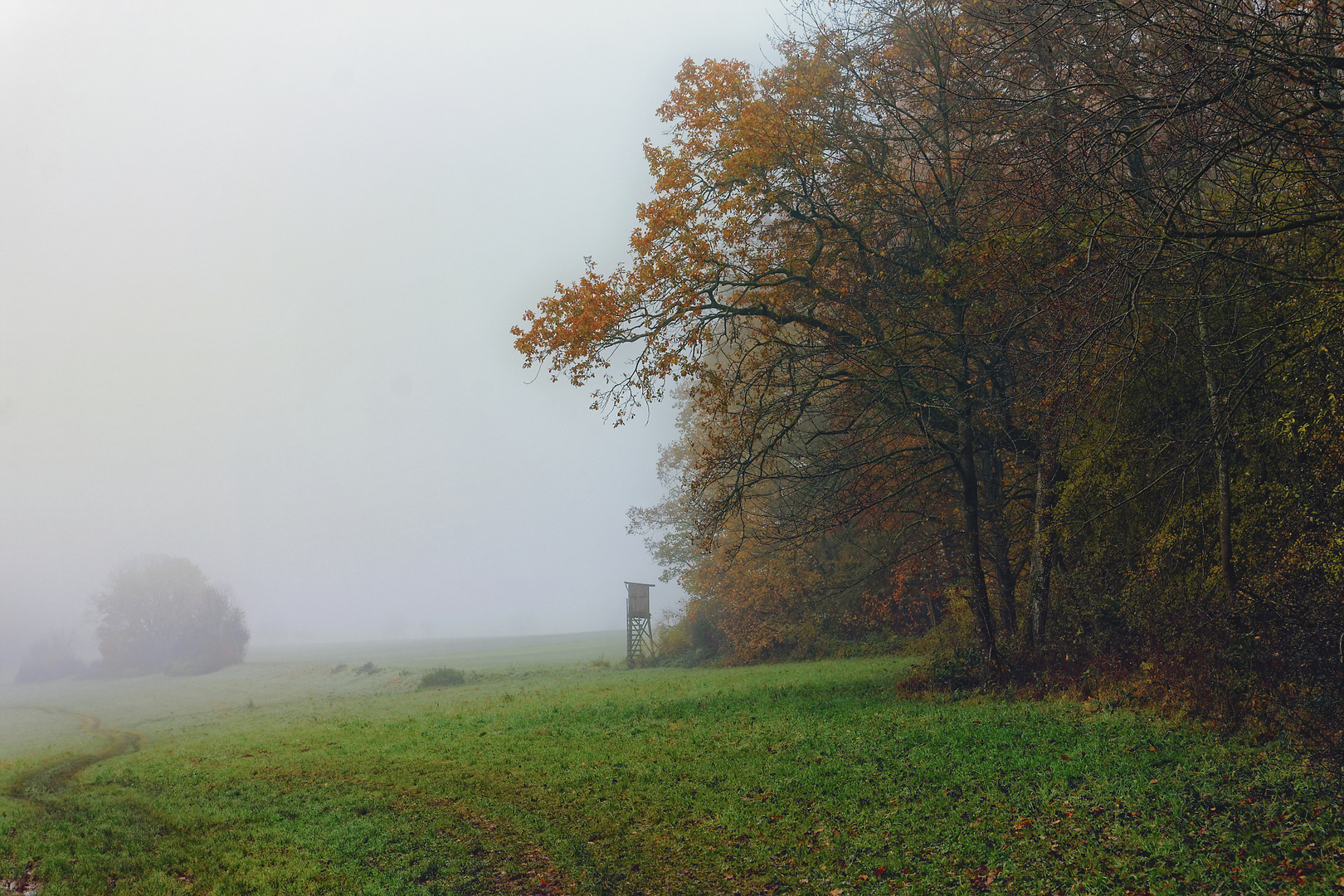 Hochsitz im Nebel