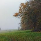 Hochsitz im Nebel