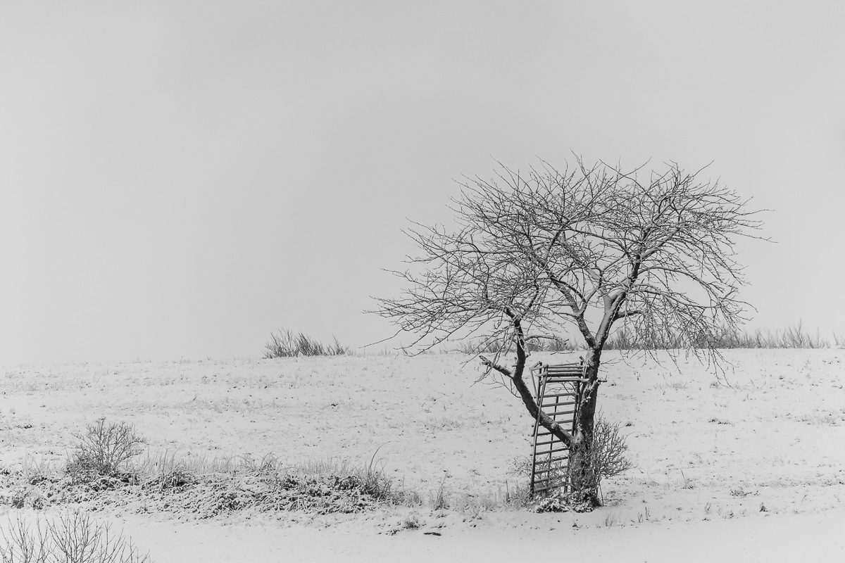 Hochsitz im Schnee