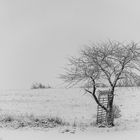 Hochsitz im Schnee