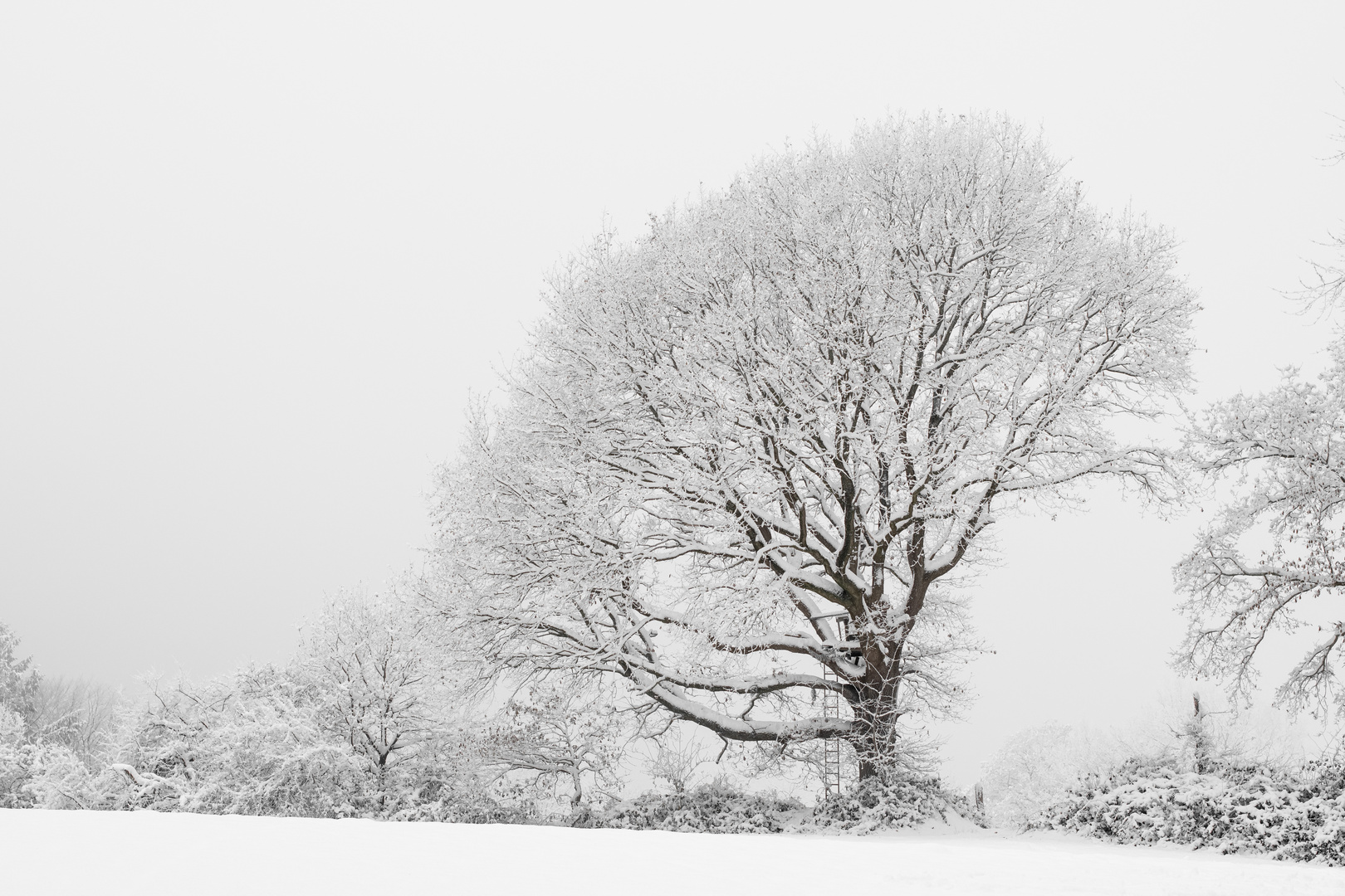 Hochsitz im Schnee