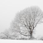 Hochsitz im Schnee