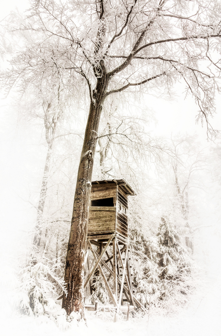 Hochsitz im Winter