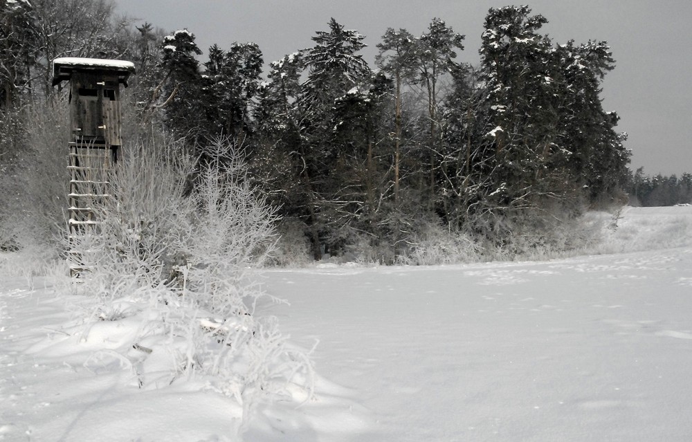 Hochsitz im Winter