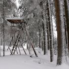 "Hochsitz im Winter"