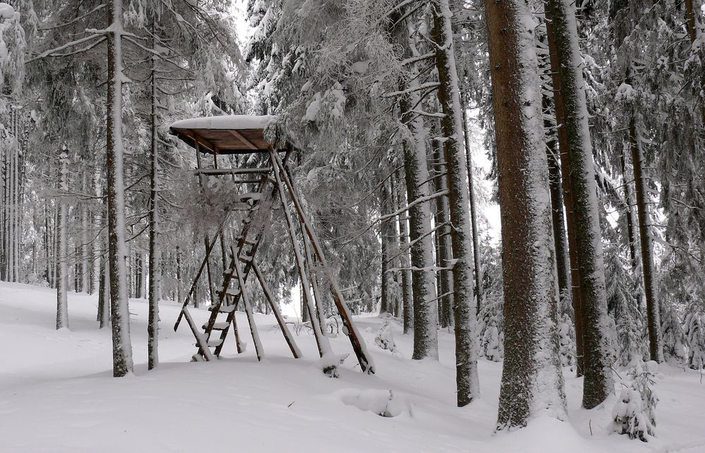 "Hochsitz im Winter"