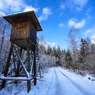 hochsitz im winter