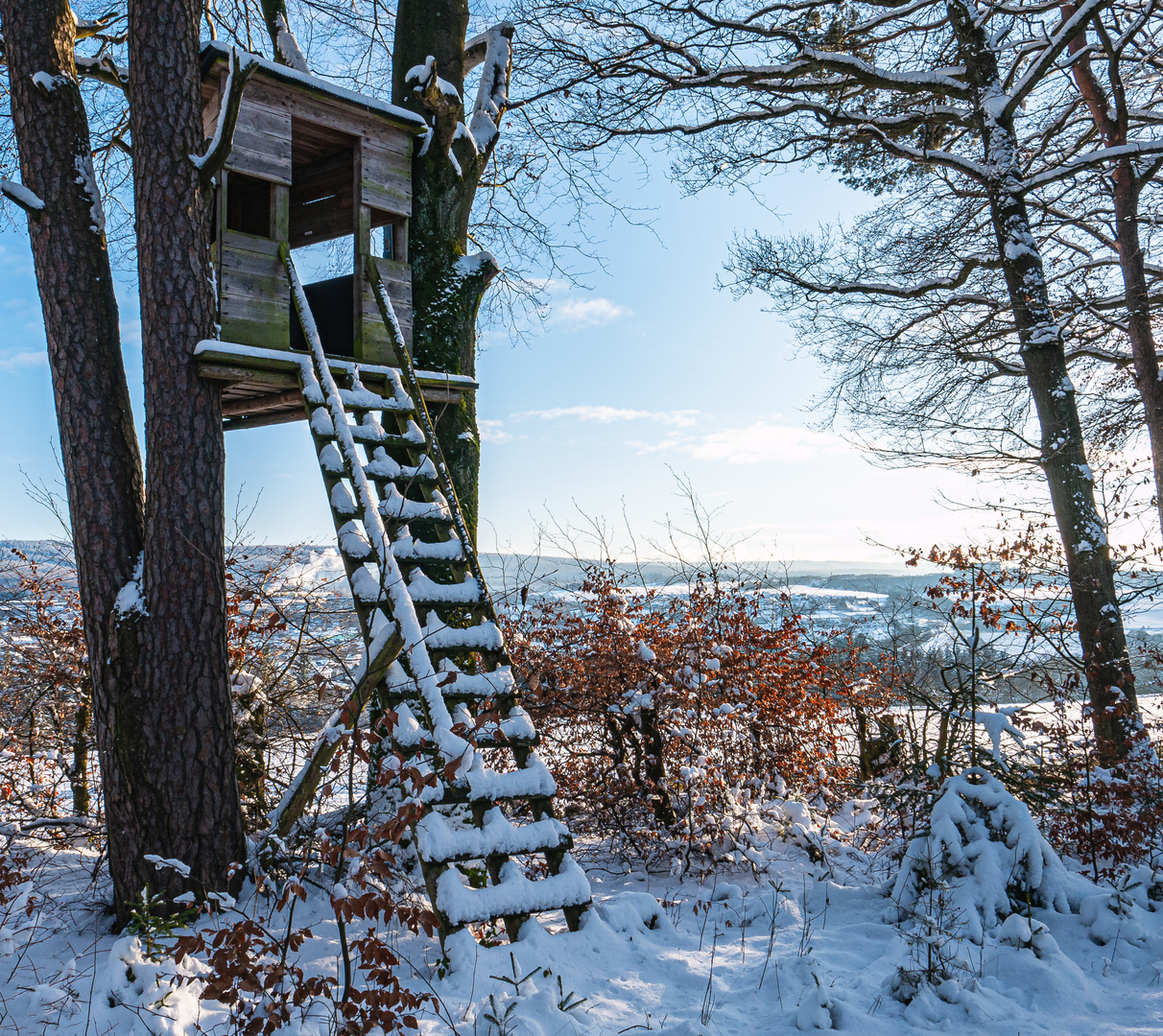 Hochsitz im Winter. .