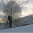 Hochsitz im Winter