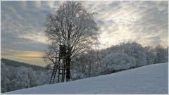 Hochsitz im Winter