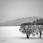 Hochsitz im Winter