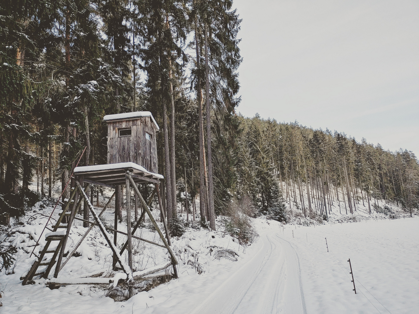 Hochsitz im Winter