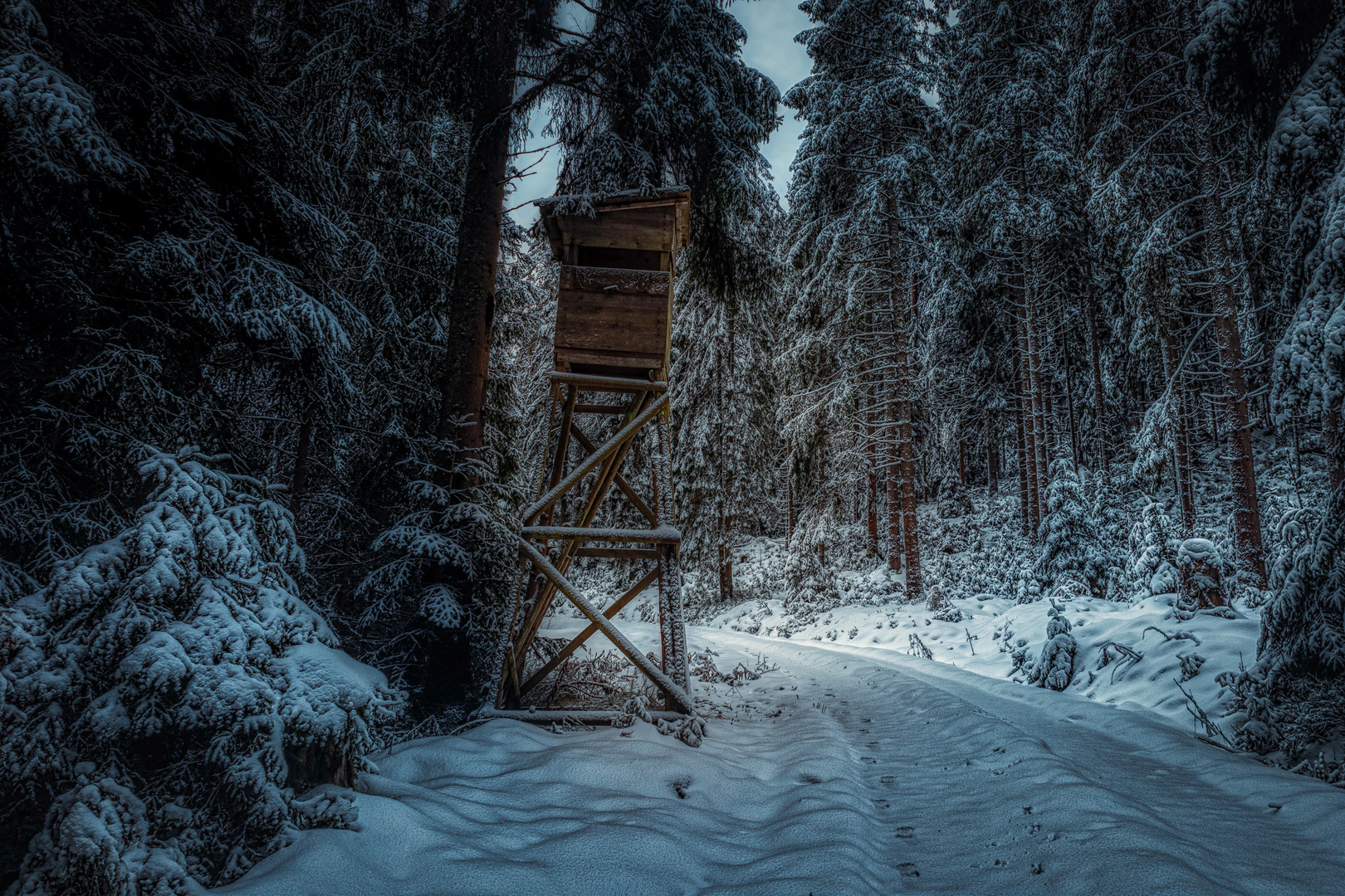 Hochsitz im Winterwald Foto & Bild wald, outdoor, winter Bilder auf