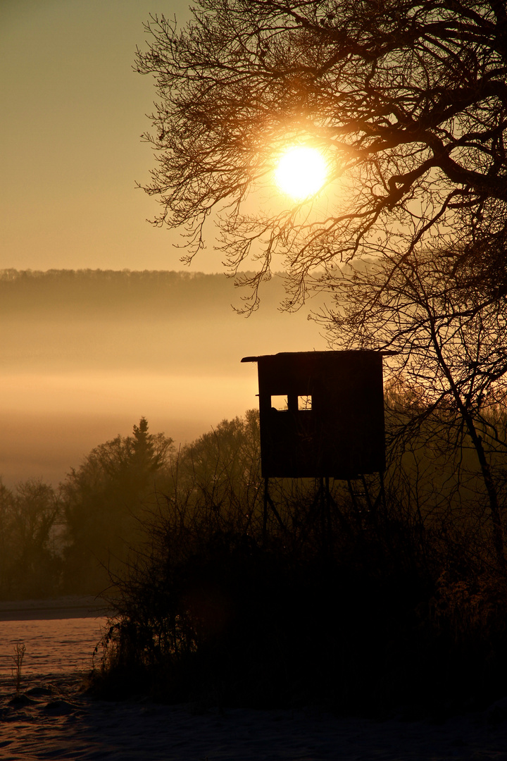 Hochsitz in der Abendsonne