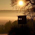 Hochsitz in der Abendsonne