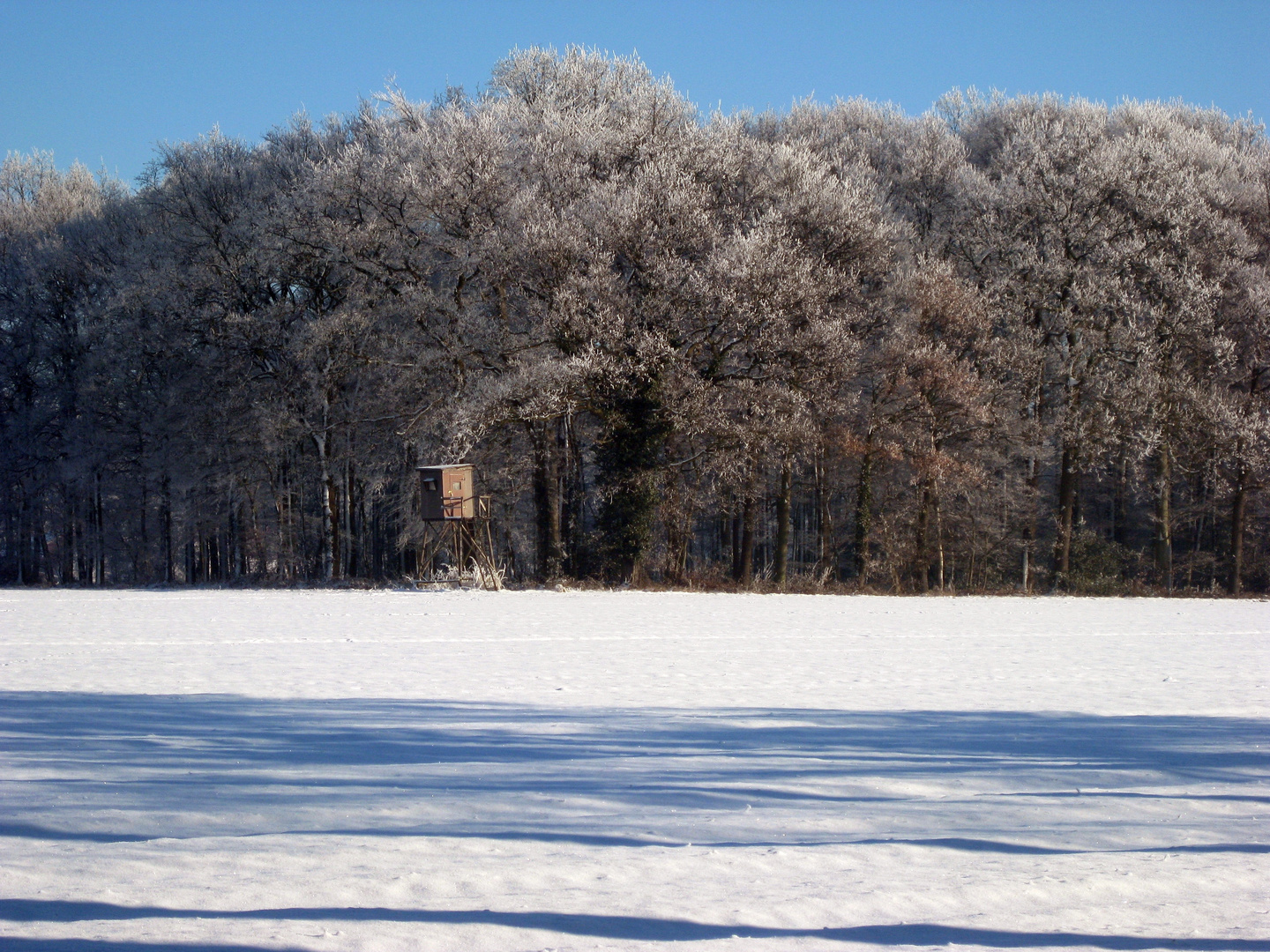 Hochsitz in einer Winterlandschaft