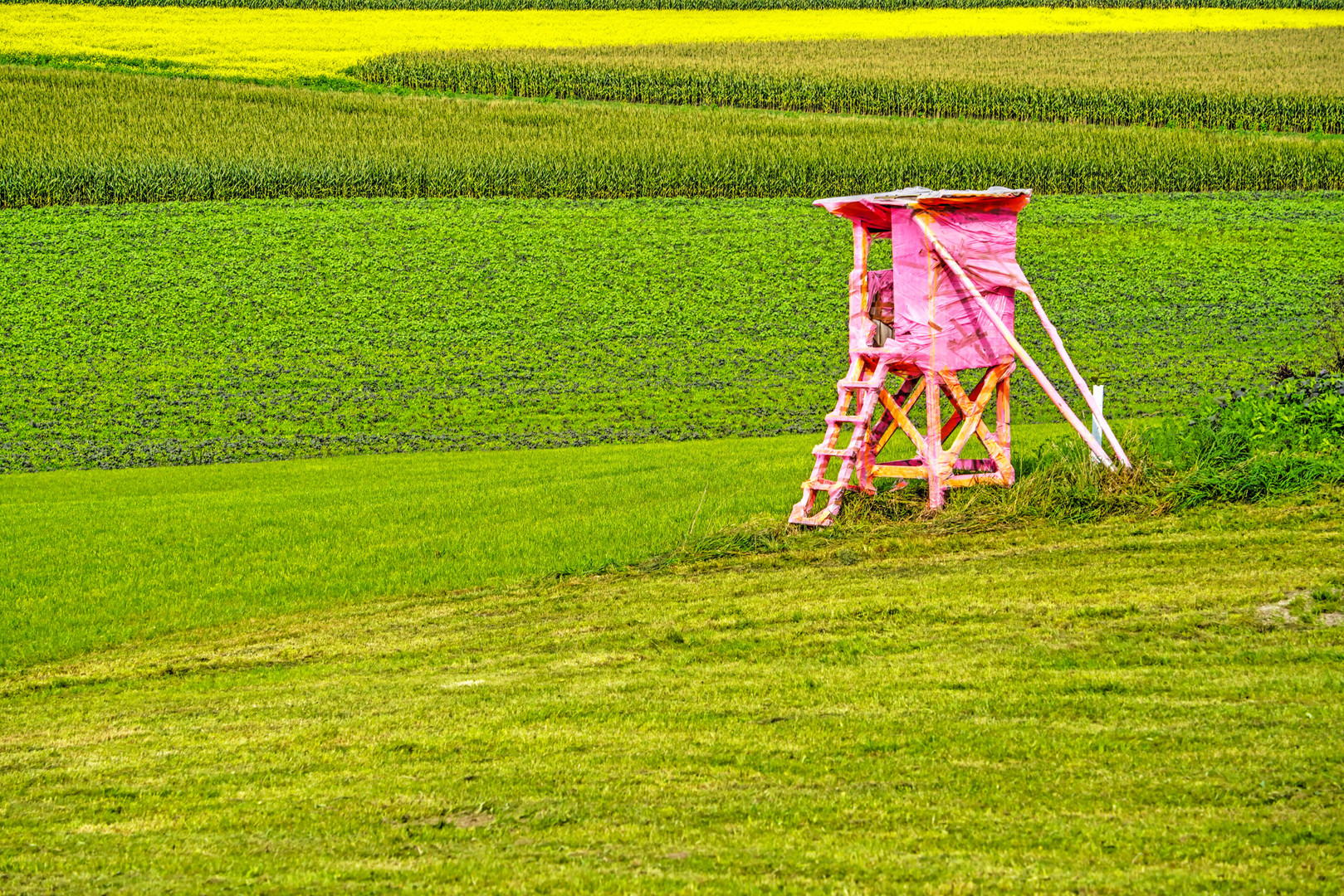 Hochsitz in pink