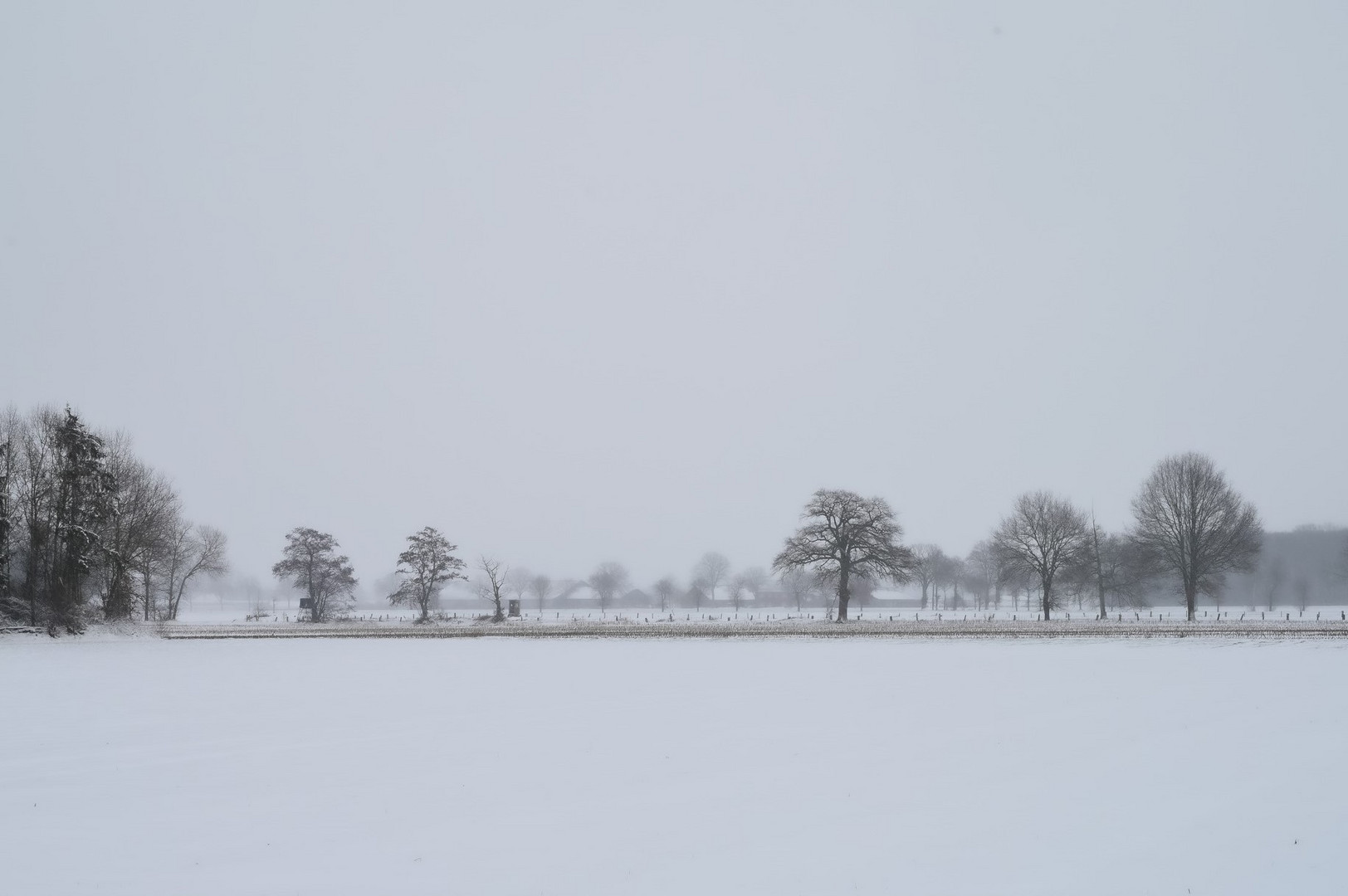 Hochsitz in winterlich trüber Ebene