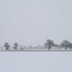 Hochsitz in winterlich trüber Ebene