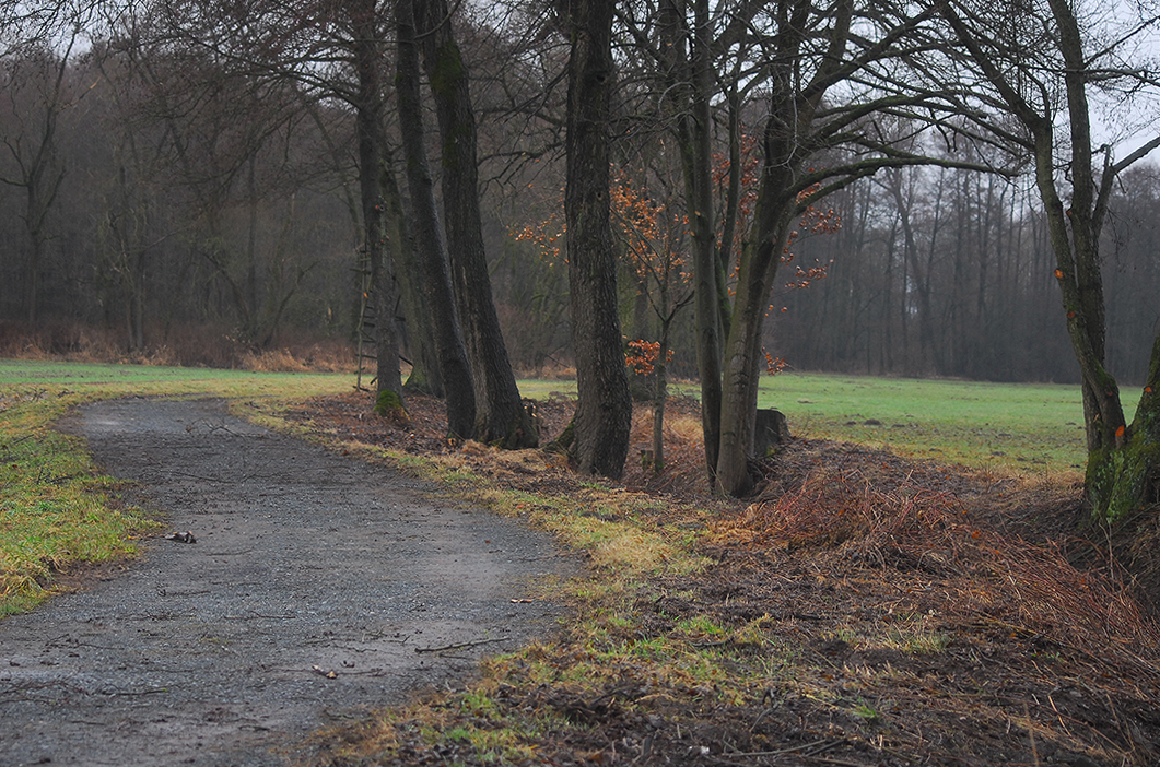 Hochsitz mal ohne Nebel