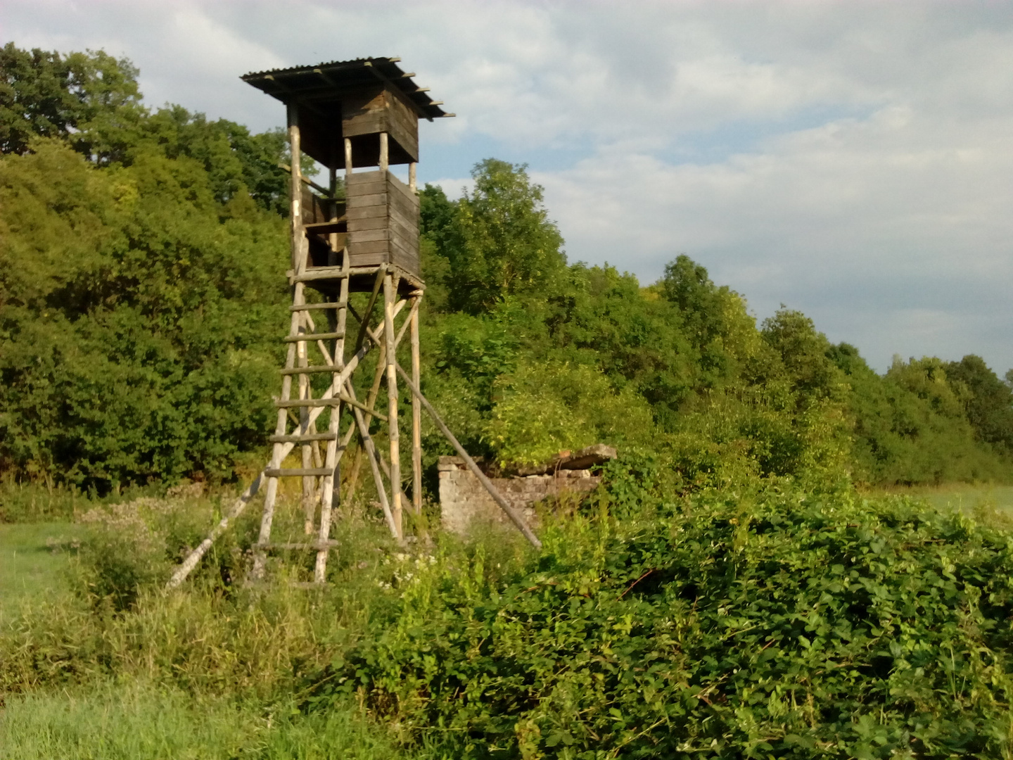 Hochsitz mit altem Brunnenhäuschen