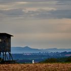 Hochsitz mit Hohenzollern