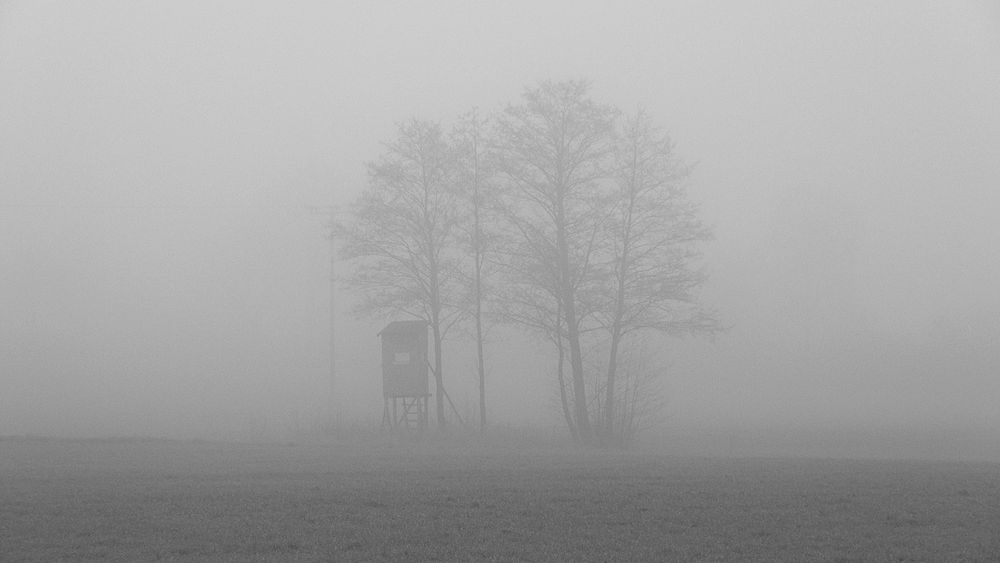 Hochsitz ohne Sicht