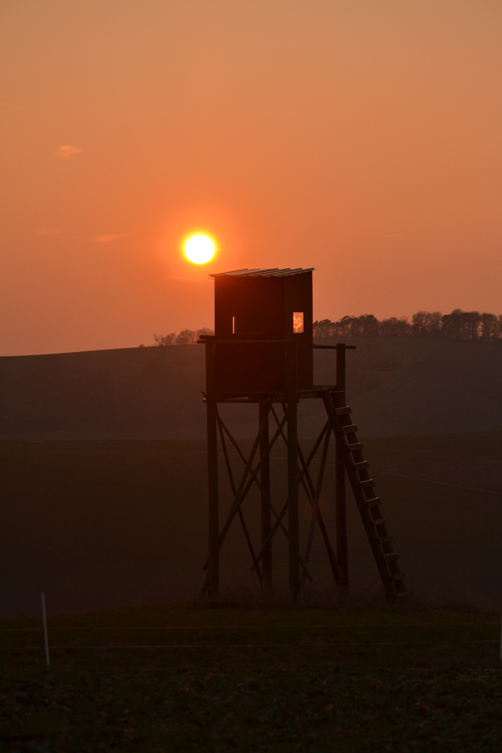 Hochsitz unter der Sonne