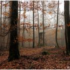 Hochsitze im Wald ,