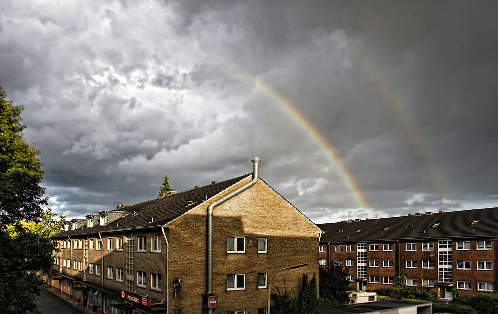 Hochsommer 2011