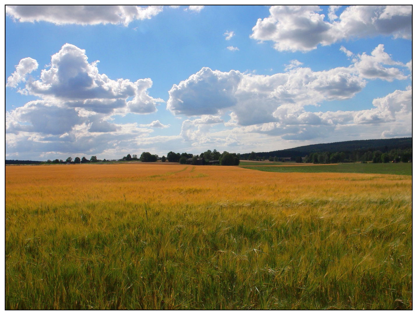 Hochsommer