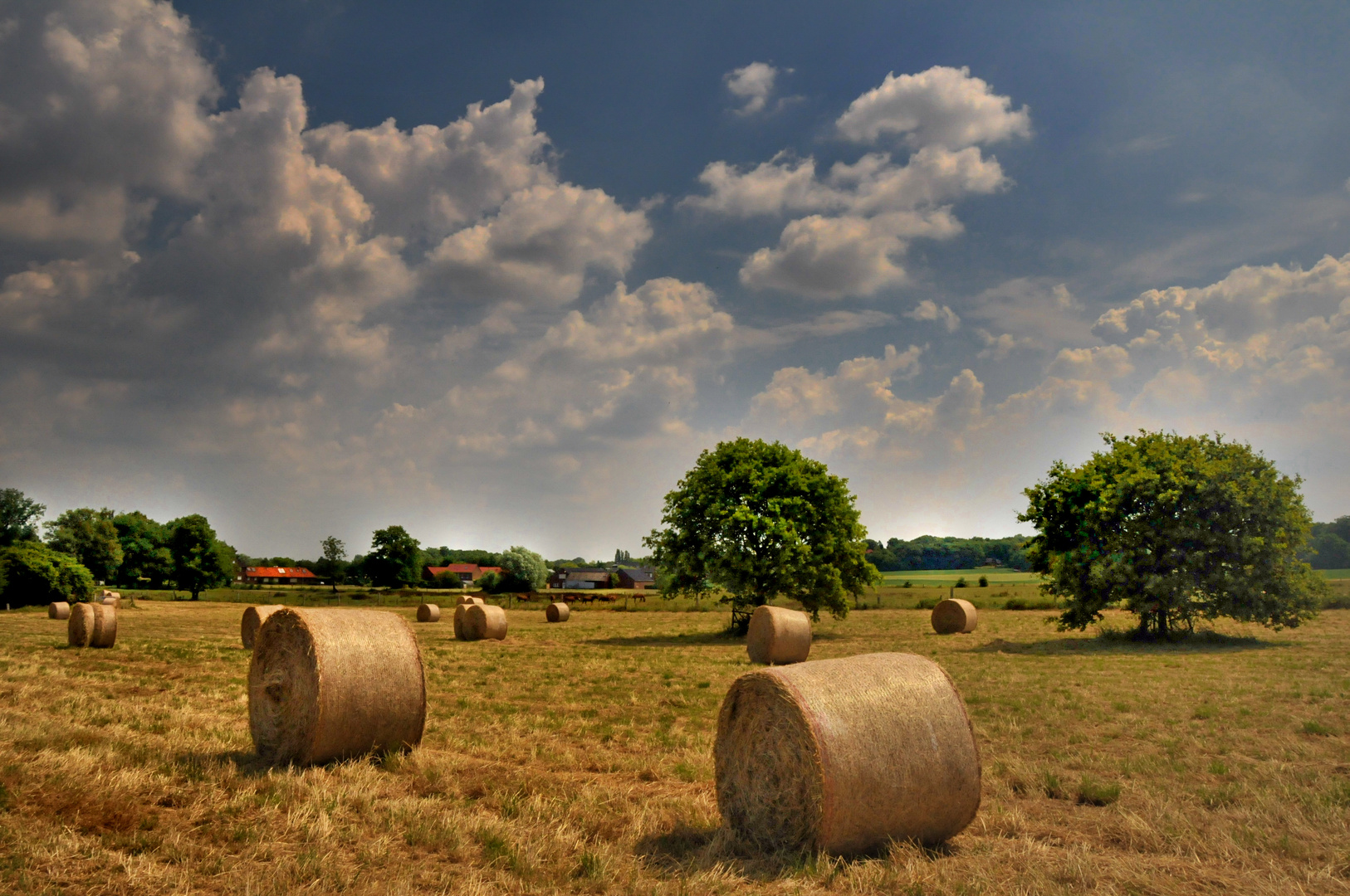 Hochsommer