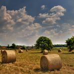 Hochsommer