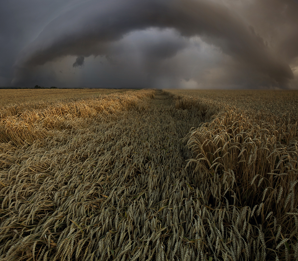 Hochsommer