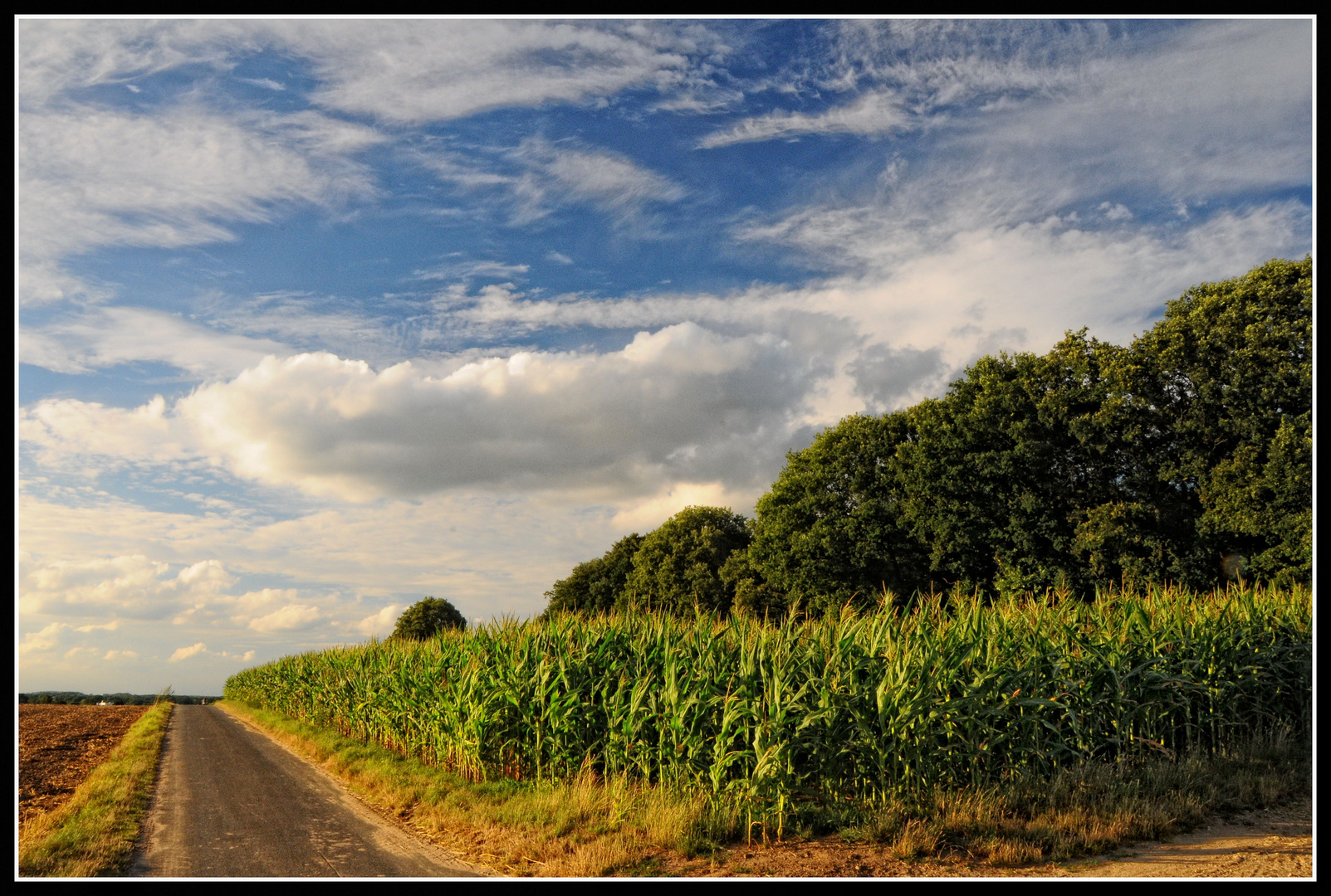 Hochsommer