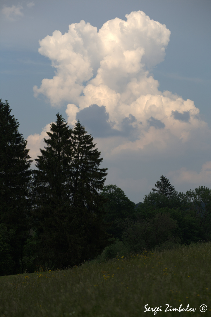 Hochsommer