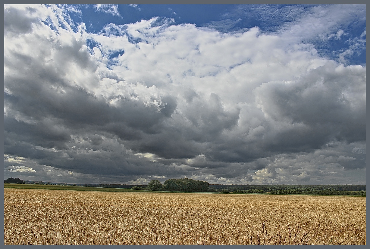 Hochsommer 