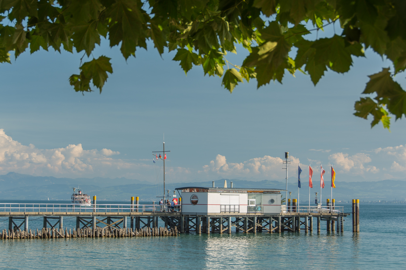 Hochsommer am See 