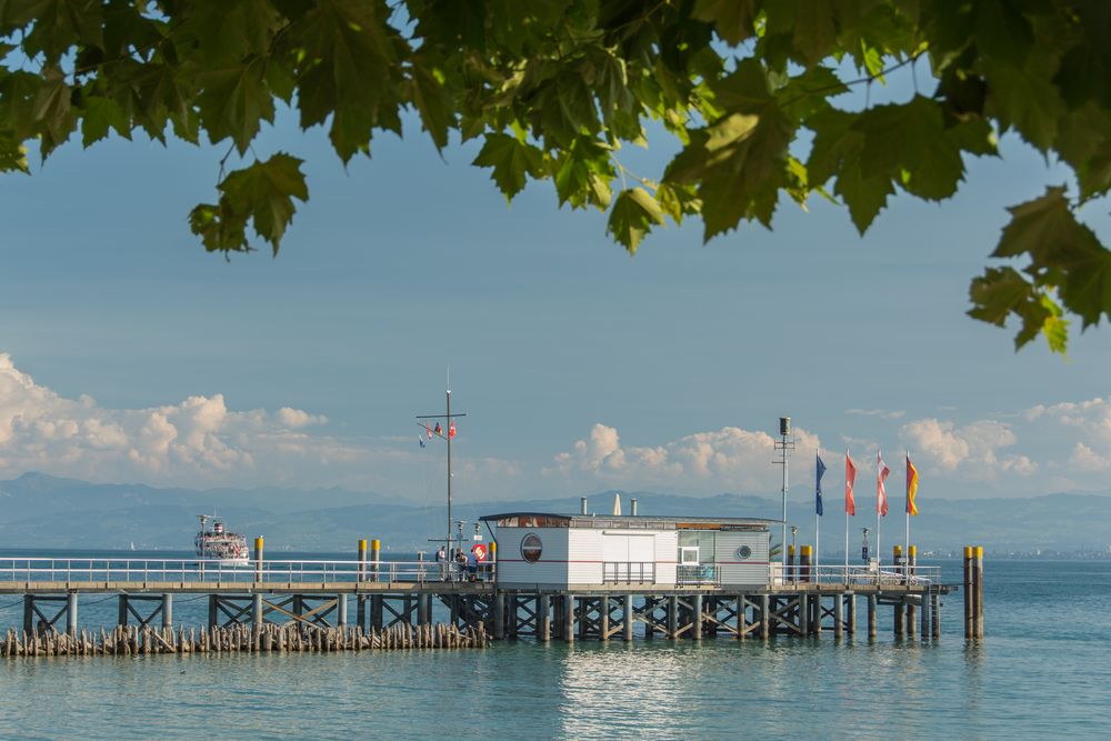 Hochsommer am See 