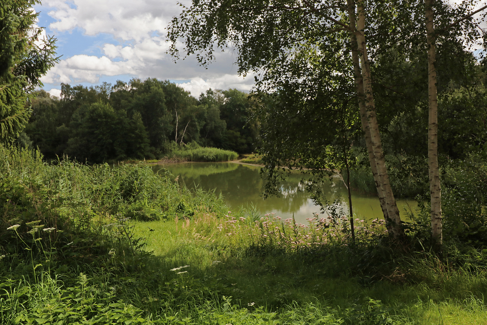 Hochsommer am Teich