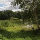 Hochsommer am Teich