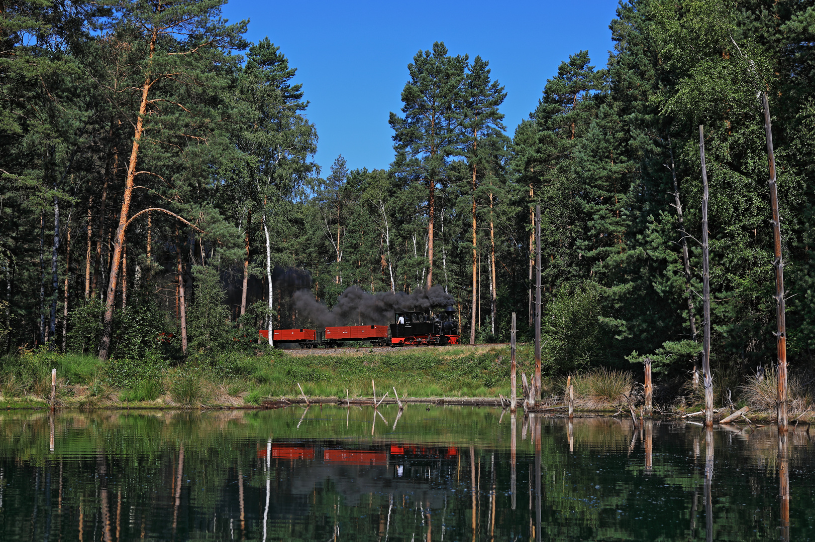 Hochsommer auf der Waldeisenbahn Muskau 03