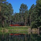 Hochsommer auf der Waldeisenbahn Muskau 03