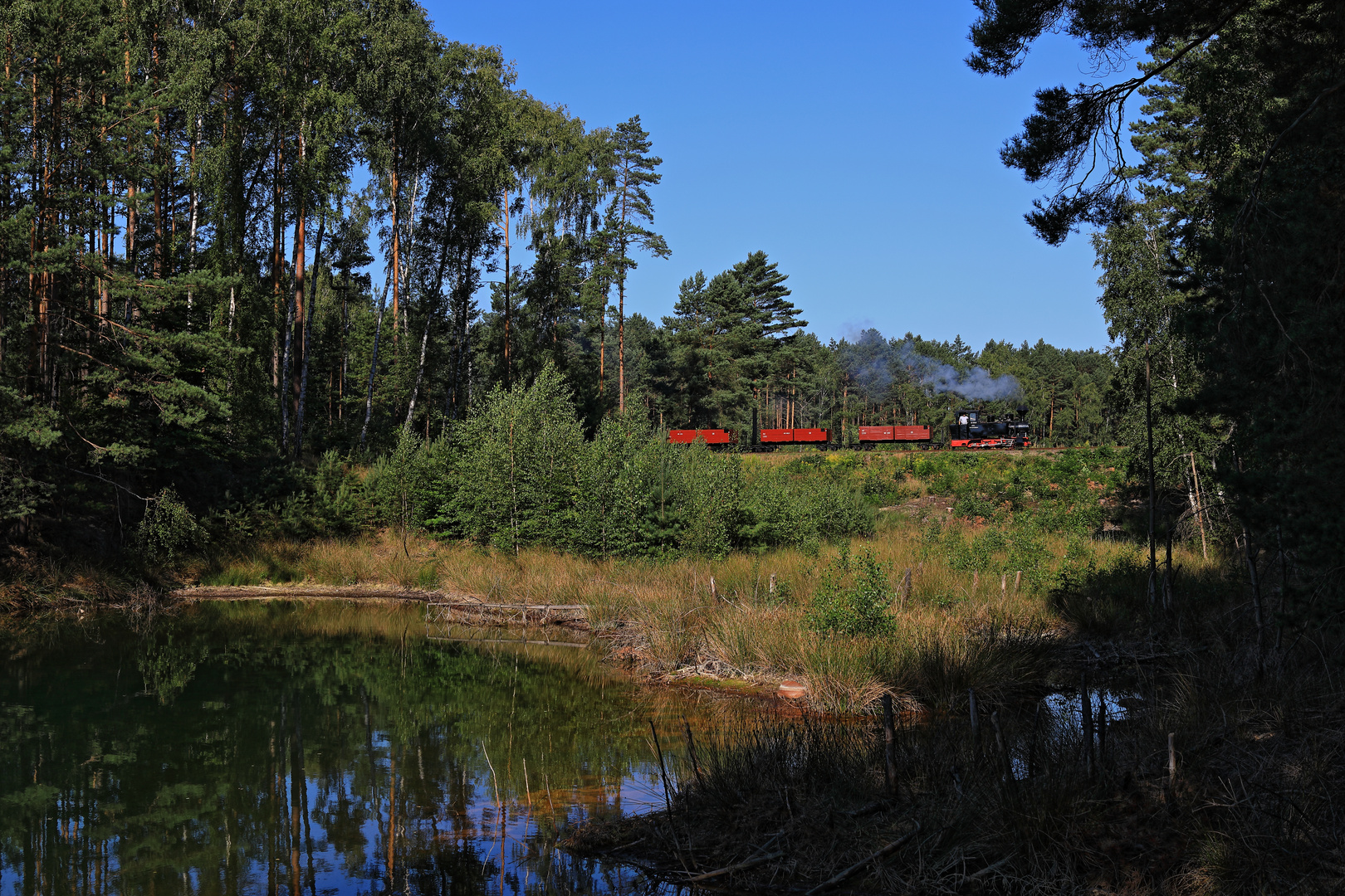 Hochsommer auf der Waldeisenbahn Muskau 04