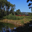 Hochsommer auf der Waldeisenbahn Muskau 04