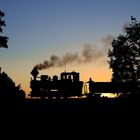 Hochsommer auf der Waldeisenbahn Muskau 06