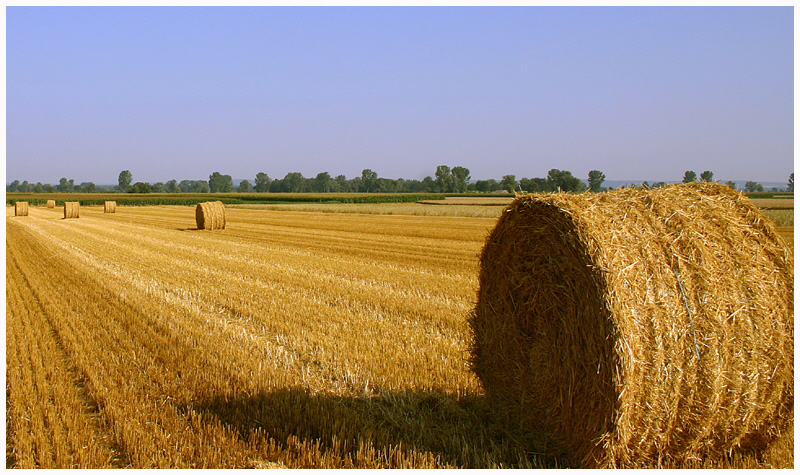 Hochsommer