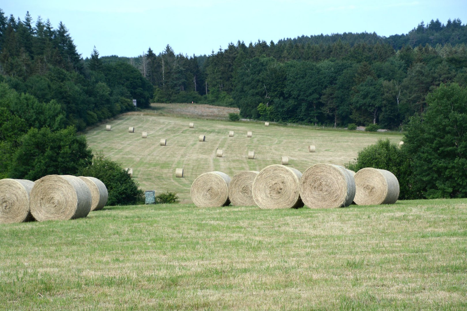 Hochsommer, Die Wiesen liegen voller Heurollen