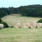 Hochsommer, Die Wiesen liegen voller Heurollen