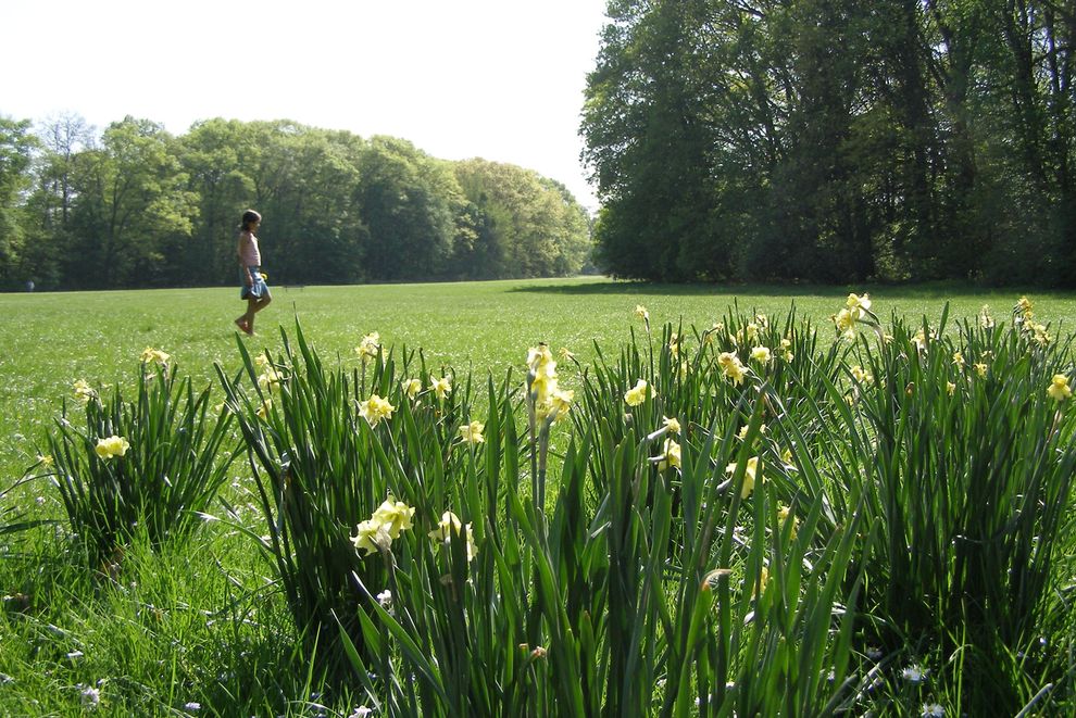 Hochsommer Eller Schloßpark